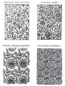 Printed silk designs, Thomas Wardle, Liberty