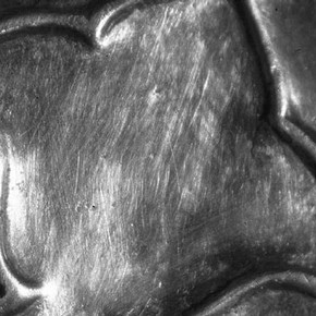 Figure 2a. Detail of the axehead before etching, showing the heavy polishing scratches.