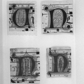 Figure 2. Fragments treated and hinged to the fascicules.