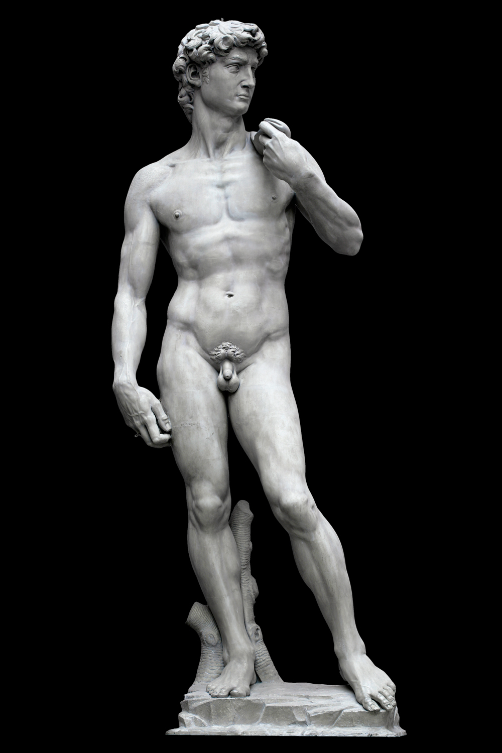 Image result for michelangelo david