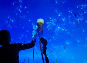 Figure 1 - 'Dandelion', Yoke & Sennep, 2009. A modified hairdryer is directed at the projected dandelion and the seeds are blown away. Photography by Peter Kelleher