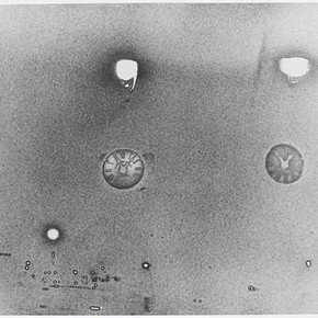 Ilse Bing, 'Solarised watches', 1934. Museum no. E.3066-2004, © Estate of Ilse Bing Wolff.