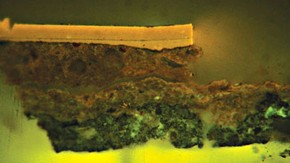 Figure 3b. Cross-section (as in figure 3a) seen under UV light showing 3 foundation layers and 2 lacquer layers (Photography by Nanke Schellmann)