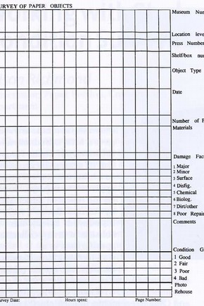 Fig 2. Form used to collect survey data