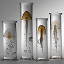 Jellyfish Installation, Steffen Dam, 2010, glass, silver foil, carbon layers. Museum no. C.92:1 to 7-2011. Purchased with the support of the Friends of the V&A, © Victoria and Albert Museum, London