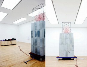 Keith Harrison, 'Brother', 2009. Photography by Dan Prince