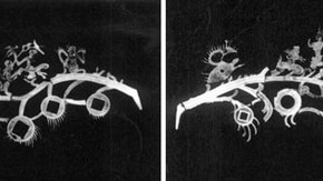Figure 1b. Two x-radiographs showing structural configuration of some of the copper alloy cast branches of the Money Tree (Asian Art Museum no. 1995 79, approx 15cm long). Photography by Sophia Strang Steel, courtesy of Asian Art Museum of San Francisco, The Avery Brundage Collection