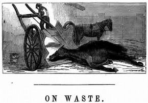 Figure 1 - Illustration to the chapter 'On Waste' from Edwin Lankester, The Uses of Animals in Relation to the Industry of Man; Being a course of lectures delivered at the South Kensington Museum (London: Robert Hardwicke, 1860), 140.