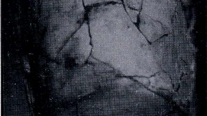 Fig. 1. The bowl fragments as received