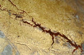 Figure 2 - Detail of the gilded surface (after conservation), showing worn gold leaf with red substrate exposed. Photography by Diana Heath