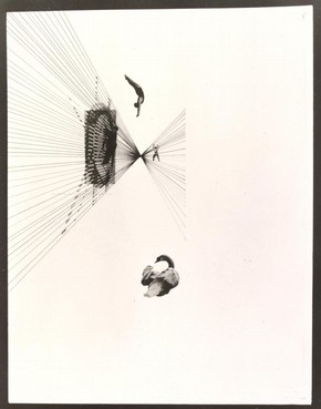 Fotoplastiken; Leda und der Schwan, photograph, László Moholy-Nagy, 1926. Museum no. CIRC.202-1974