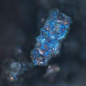 Figure 4. A glittering, iridescent particle in a bismuth-rich area on a shepherd's face. Leica Aristomet microscope, magnification 640x (Photography by Lucia Burgio)