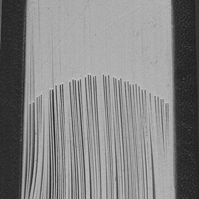 Figure 3. Head edge of 1990s binding showing compensation stubs. Photograph by Bridget Mitchell.