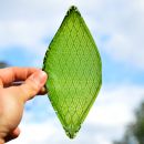 Silk Leaf