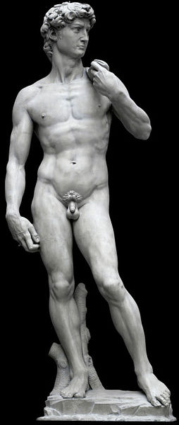 A plaster cast of the celebrated marble sculpture of Michaelangelo's David Museum no. REPRO.161-1857) © Victoria and Albert Museum, London.