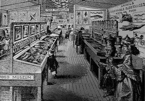 Figure 10 - The Food and Animal Products Collection, South Kensington Museum. From The Leisure Hour, 14 April 1859