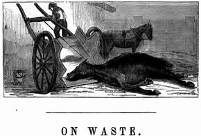 Figure 6 - Illustration to the chapter 'On Waste' from Edwin Lankester, The Uses of Animals in Relation to the Industry of Man; Being a course of lectures delivered at the South Kensington Museum (London: Robert Hardwicke, 1860), 140.