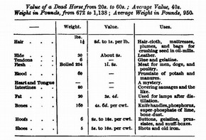 Figure 7 - Table from Edwin Lankester, The Uses of Animals in Relation to the Industry of Man; Being a course of lectures delivered at the South Kensington Museum (London: Robert Hardwicke, 1860), 159