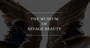 The Museum of Savage Beauty