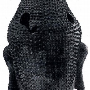 Figure 3. The back of the head after conservation