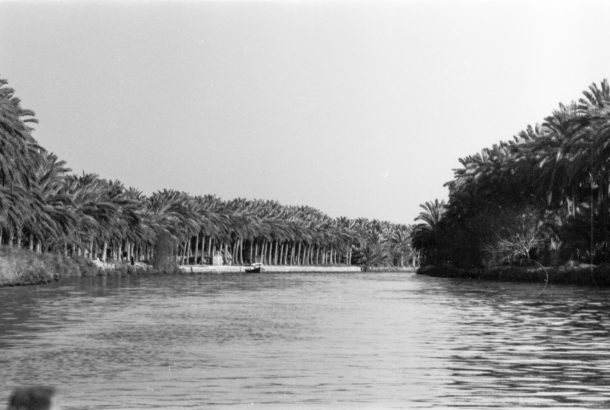 A river lined by trees, viewed from a boat