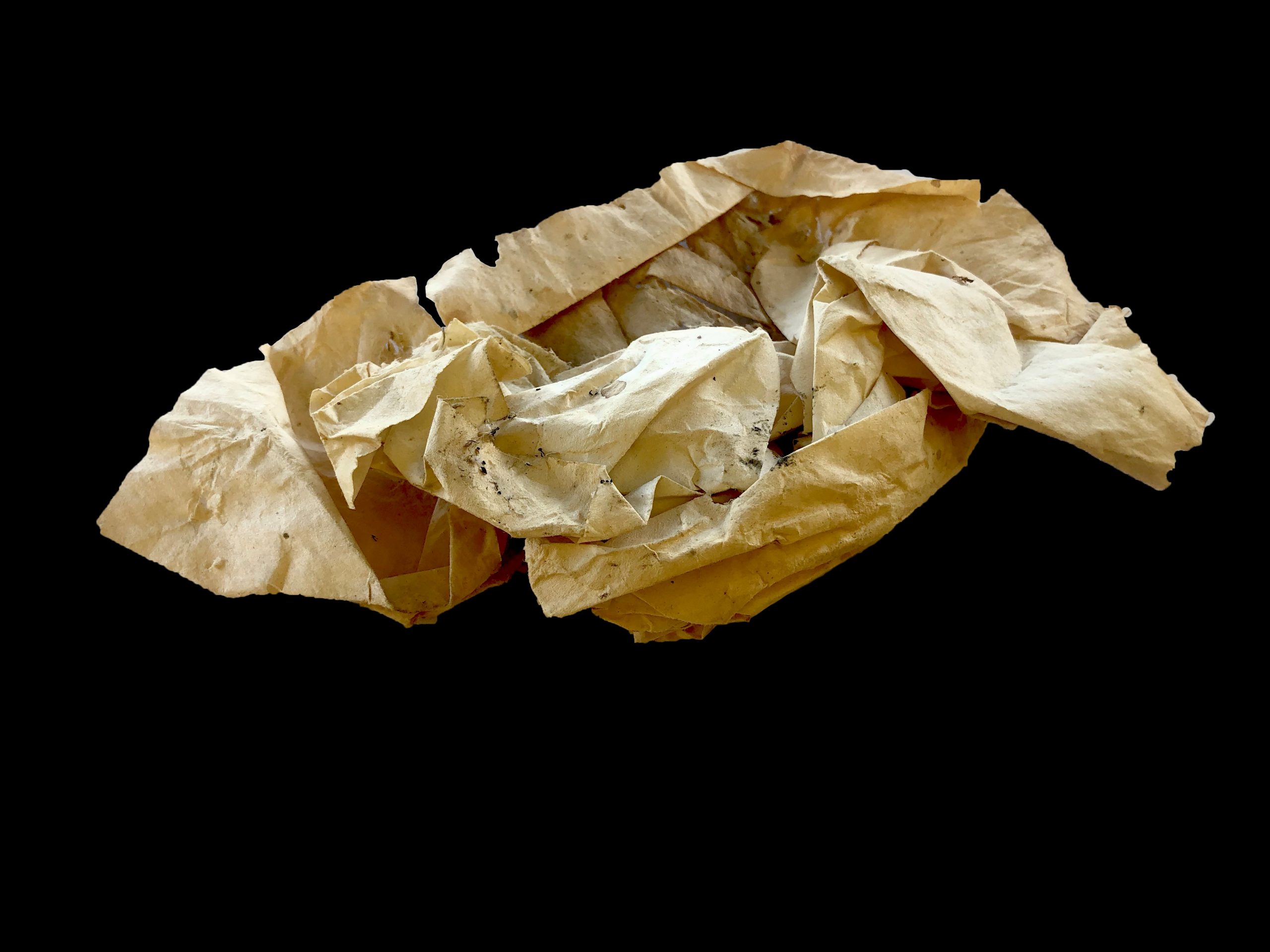 A crumpled piece of paper