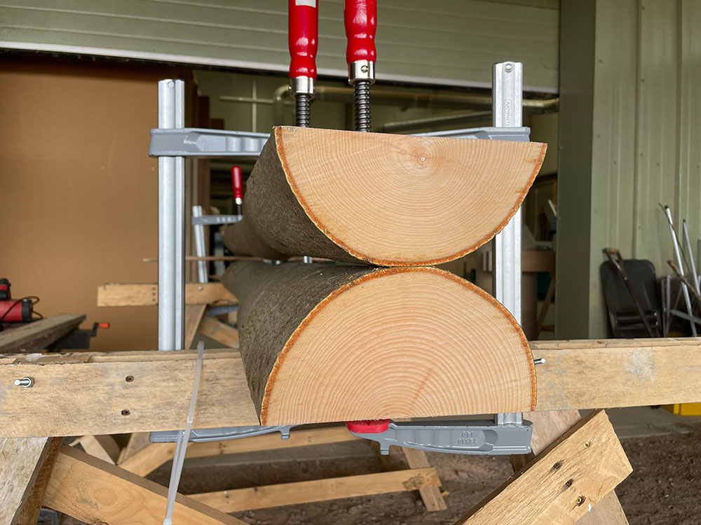 Two halves of an elm trunk cut lengthways, and placed together so that the cut sides are opposite each other