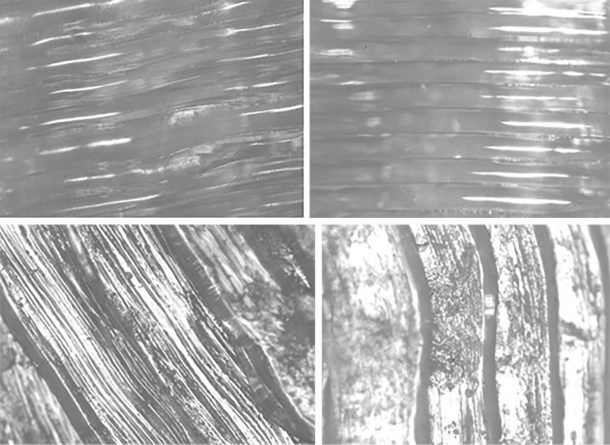 Microscopic images of the FDM print, showing ridges