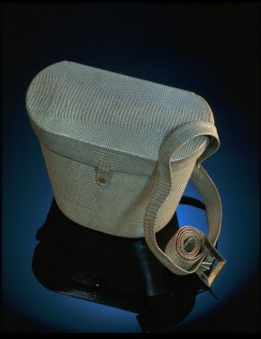 Gas mask bag with gas mask