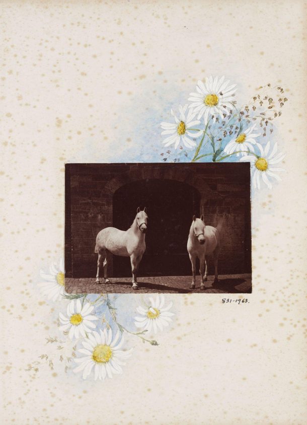 Page from a collage scrapbook showing two horses