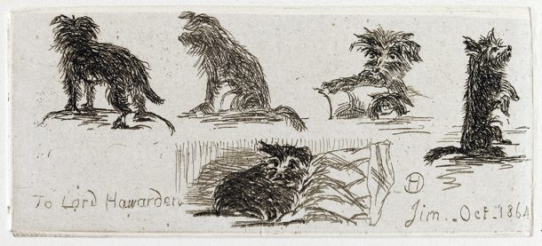 Henry Cole's illustrations of Jim the dog