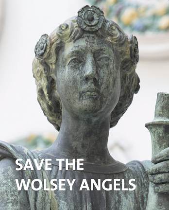 Save the Wolsey Angels