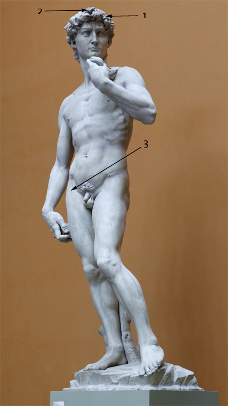 The cast of Michelangelo’s David, REPRO.1857-161, showing sampling locations