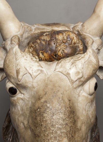 Statue of the head of an ox on a tree trunk [detail], Italy, 1650-1700. Museum no. 60-1882 © Victoria and Albert Museum, London