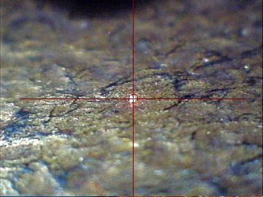 Figure 4 The golden surface of the sandal viewed with the microscope inbuilt in the XRF machine. The laser in the center of the cross hairs shows the exact spot analysed, which is 0.2 mm across 