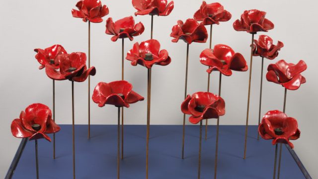 Sixteen ceramic poppies from ‘Blood Swept Lands and Seas of Red’