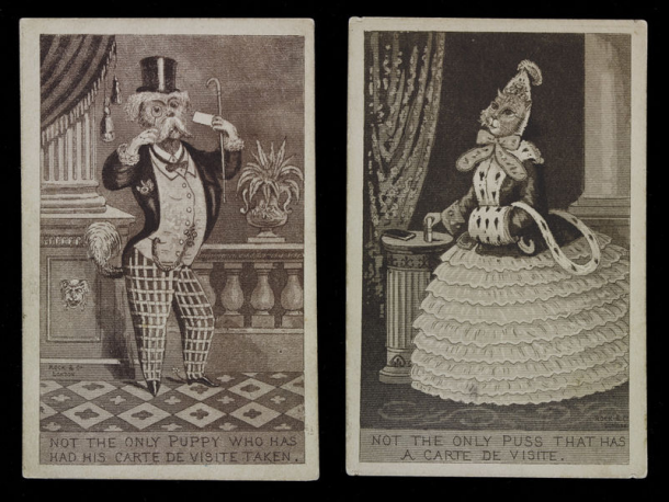 Two satirical prints showing a dog and a cat posing for carte de visite photographs