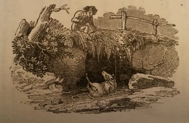 Wood engraving by Thomas Bewick, illustrating “The death and dying words of poor Mailie, the author’s only pet Yowe (an unco mournfu’ tale)” by Robert Burns. Poetical works of Robert Burns; with his life. Book, printed Alnwick: W. Davison, 1808