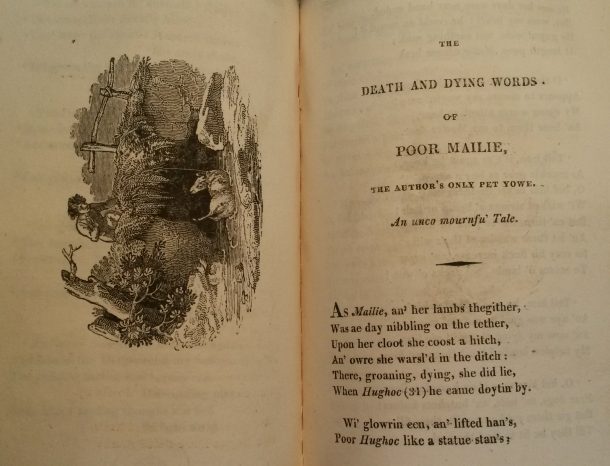 “The death and dying words of poor Mailie, the author’s only pet Yowe (an unco mournfu’ tale)” by Robert Burns. Contained in: Poetical works of Robert Burns; with his life. Ornamented with engravings on wood by Mr. Bewick, from original designs by Mr. Thurston. Book, printed Alnwick: W. Davison, 1808.