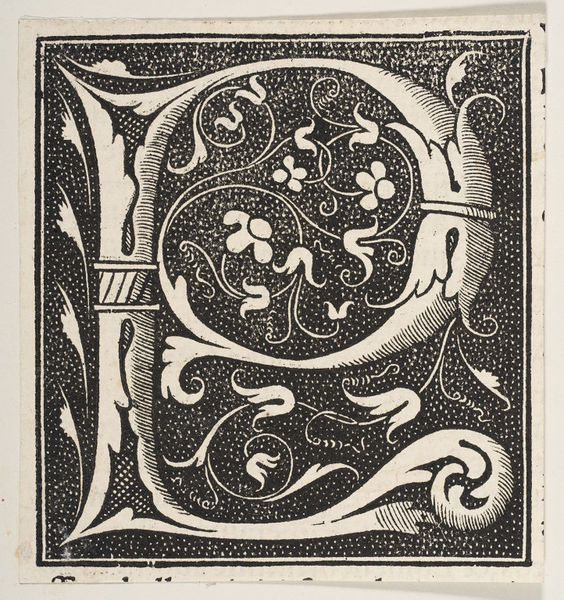 Holbein E.6039-1921