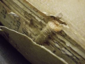 17th century book sewn on cords