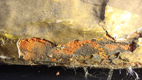 Figure 3: Damage on the surface of the Angel, showing the teak wood substrate.