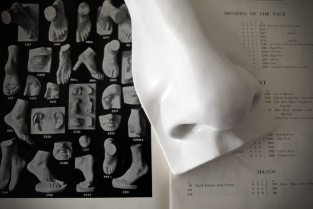 David Nose Plaster Cast by FeliceCalchi - plaster casts & sculptures, Rome over an old Cast Catalogue by Domenico Brucciani, London. Image, Andrea Felice 2017.