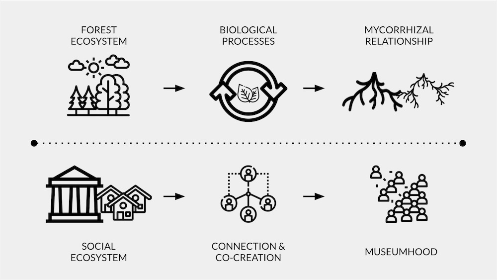 Diagram of a living museum ecosystem linking society and co-creation to museumhood