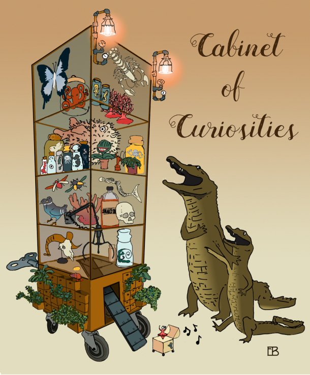 VARI Cabinet of Curiosity