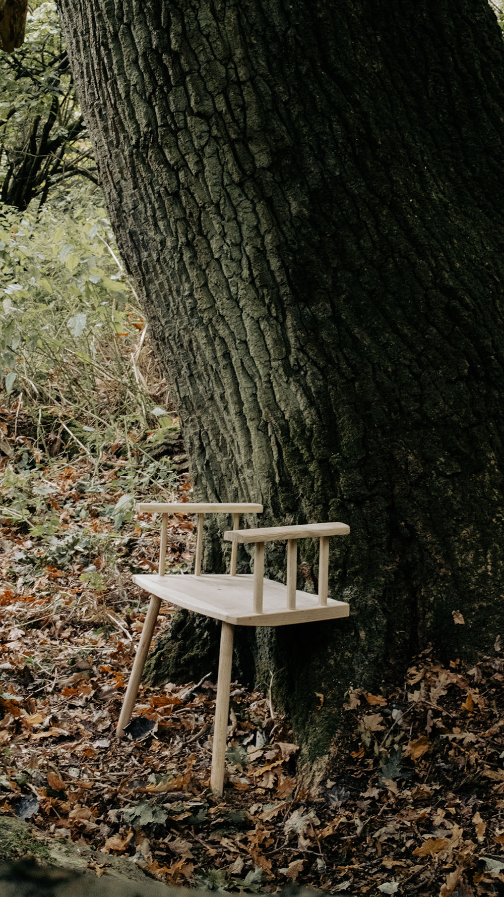 A two-legged chair leaning against a tree in a forest