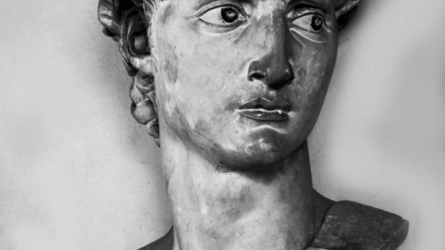 Figure 4. Clemente Papi, Plaster cast of the head of David by Michelangelo, 1848. Accademia di Belle Arti, Florence. Photo credit: Gabinetto Fotografico degli Uffizi, 2012.