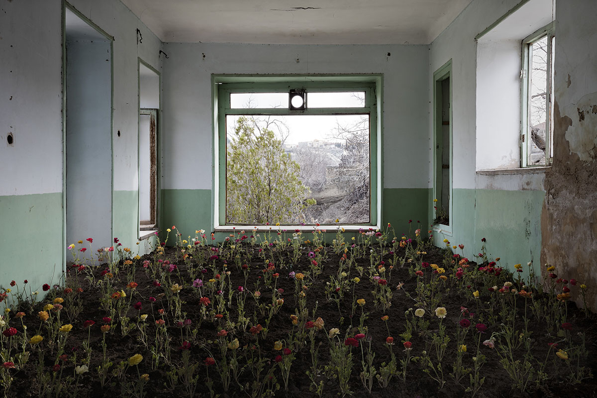 A room covered with growing flowers on the floor, with a window looking over a mountainous landscape