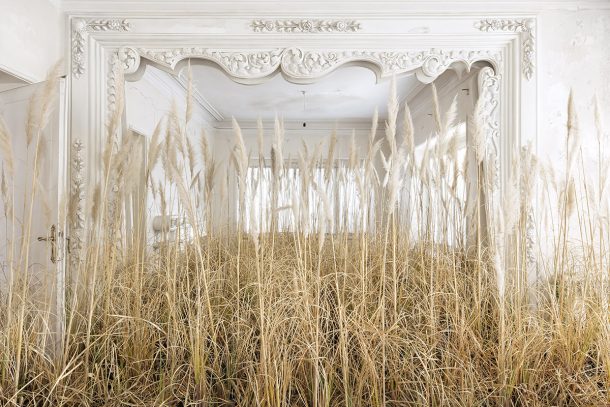 A crop of grains inside a white building