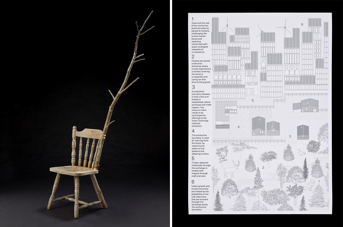 A chair with a branch growing from it, with an architectural plan